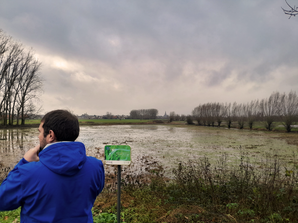 Resilient + water + landscape