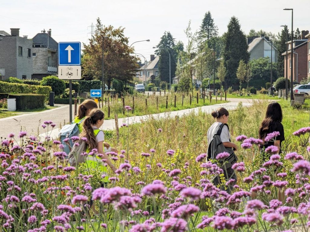 Groene lob Baenslandwijk