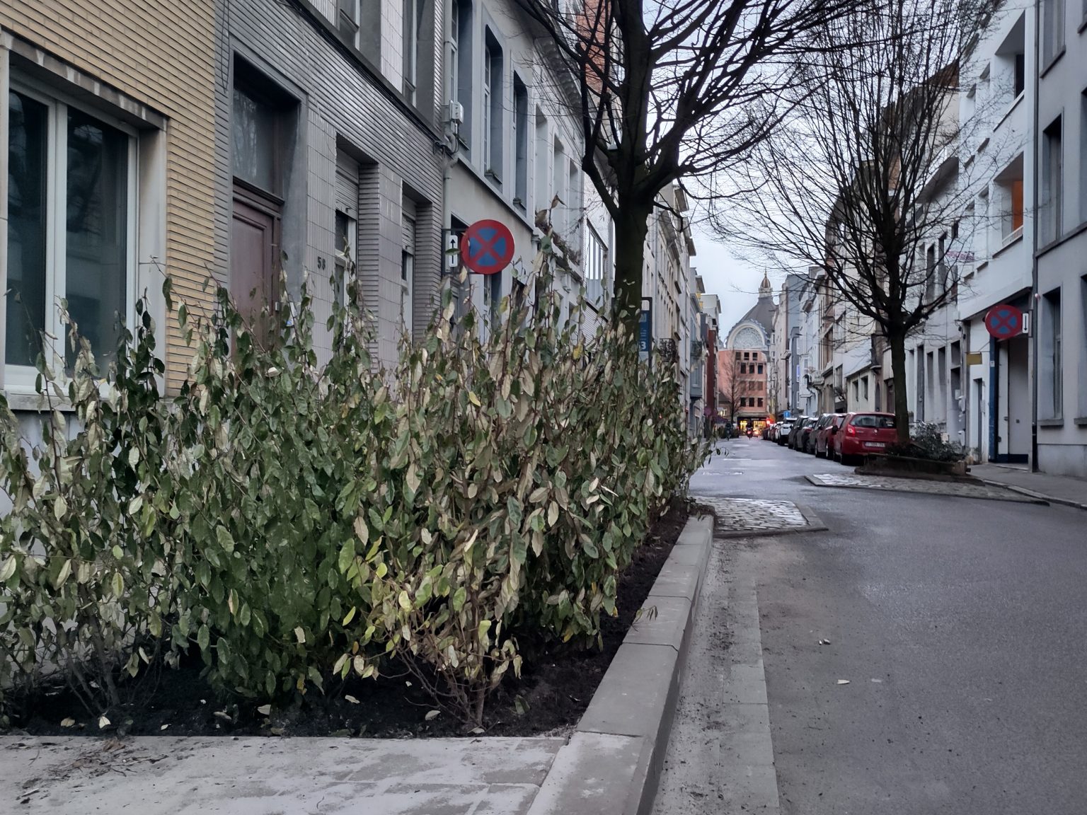 Citizen's budget in Antwerp: More green in the streets.